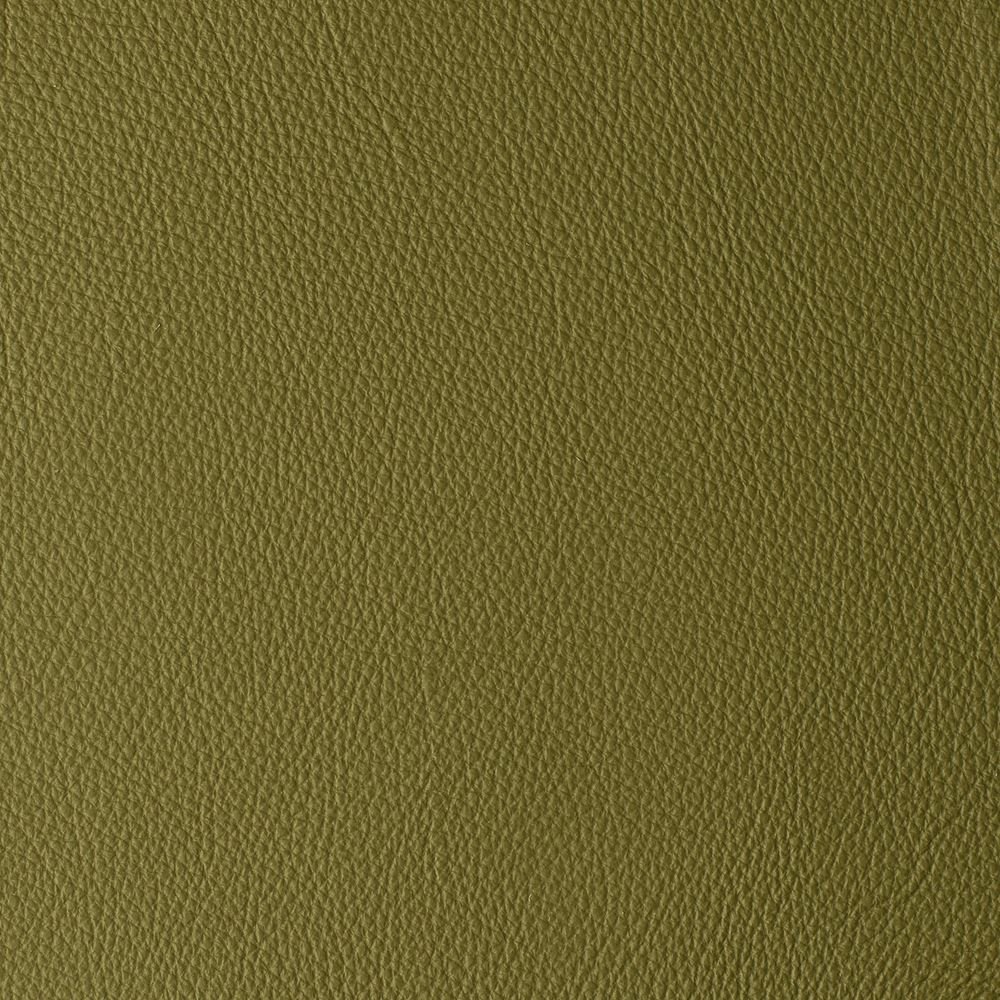 Moss