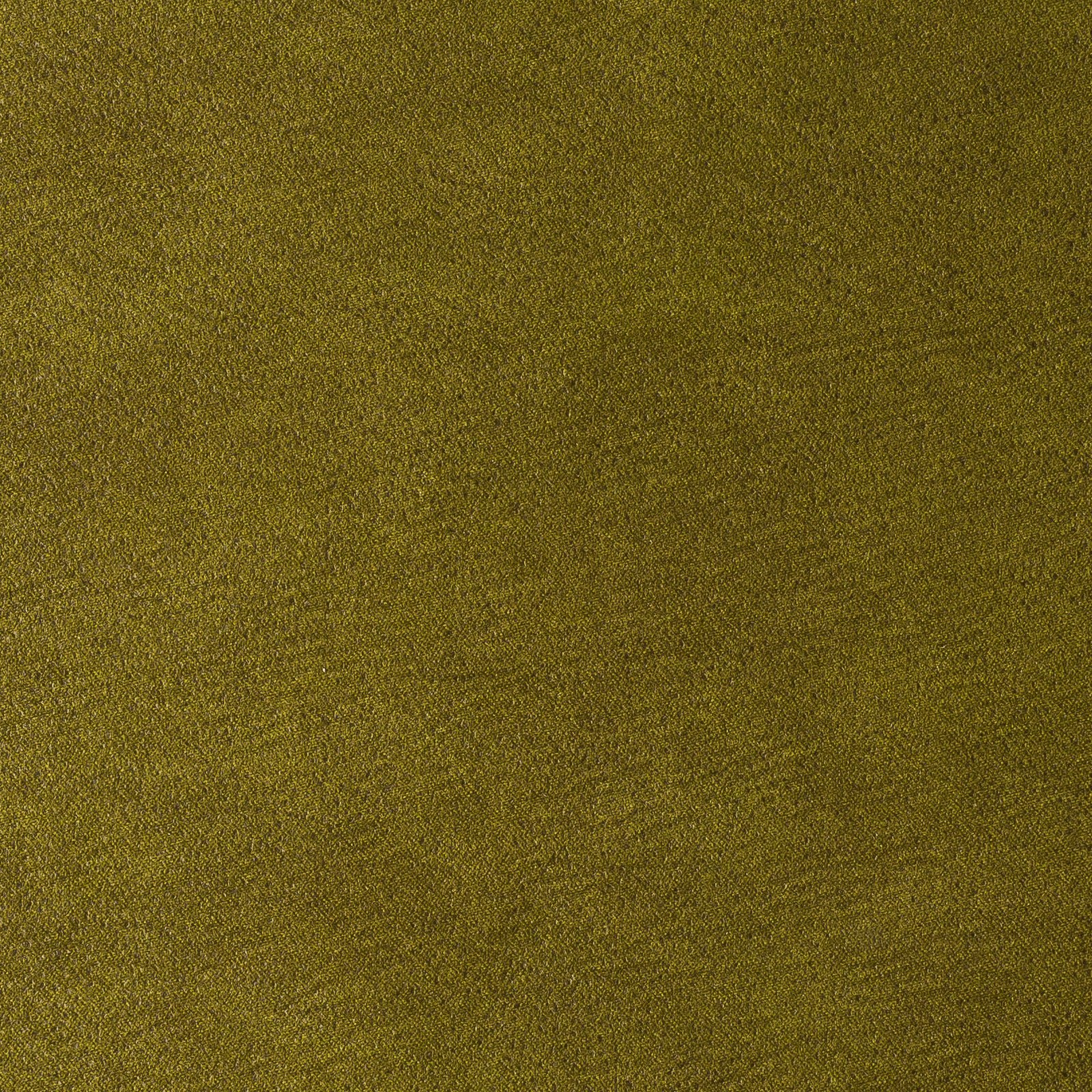 Moss