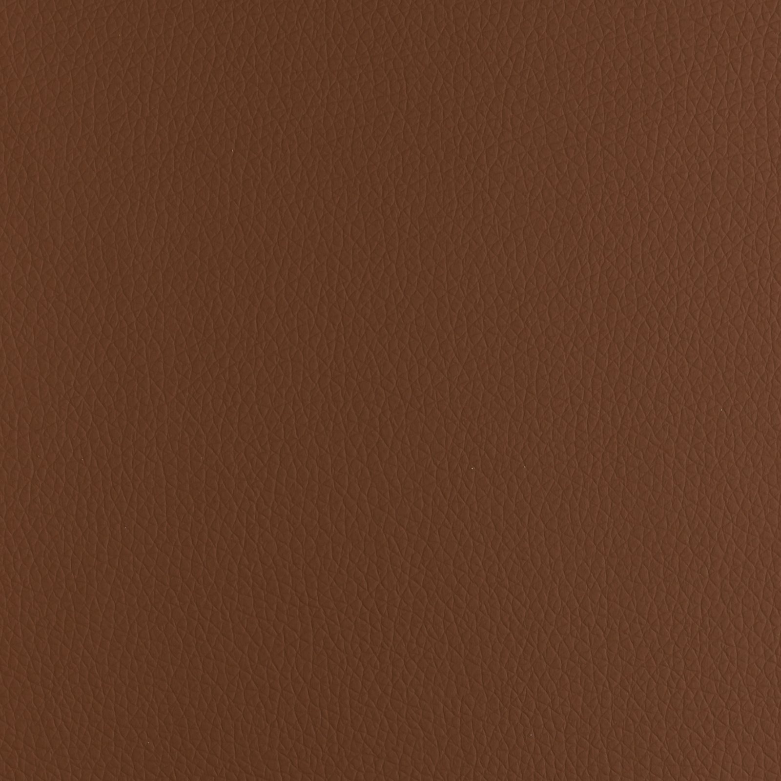 Dark Camel