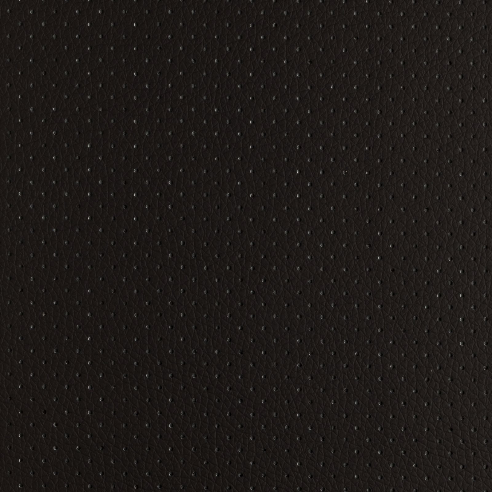 Dark Brown Perforated