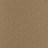 Khaki Perforated