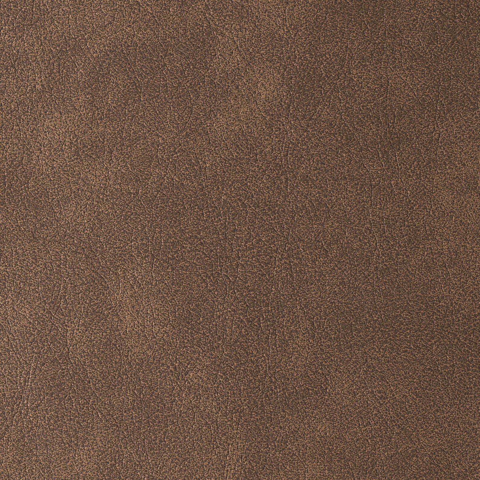 Terra
