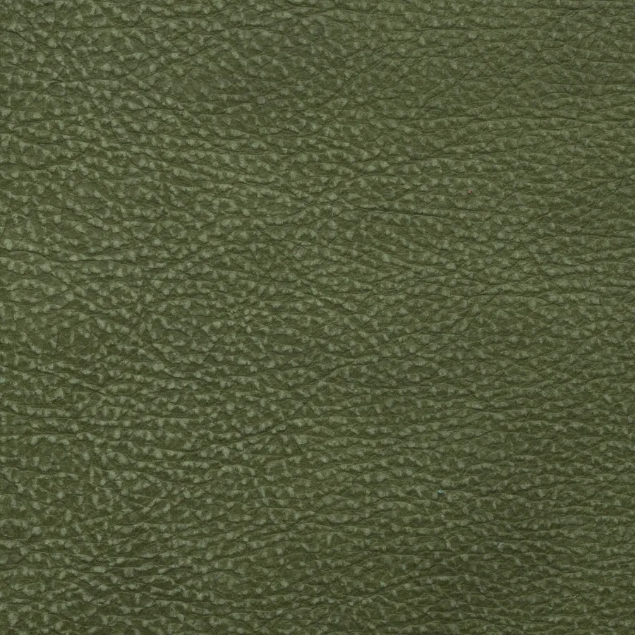 Coleção KANSAS - Moss
