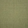 Pistachio