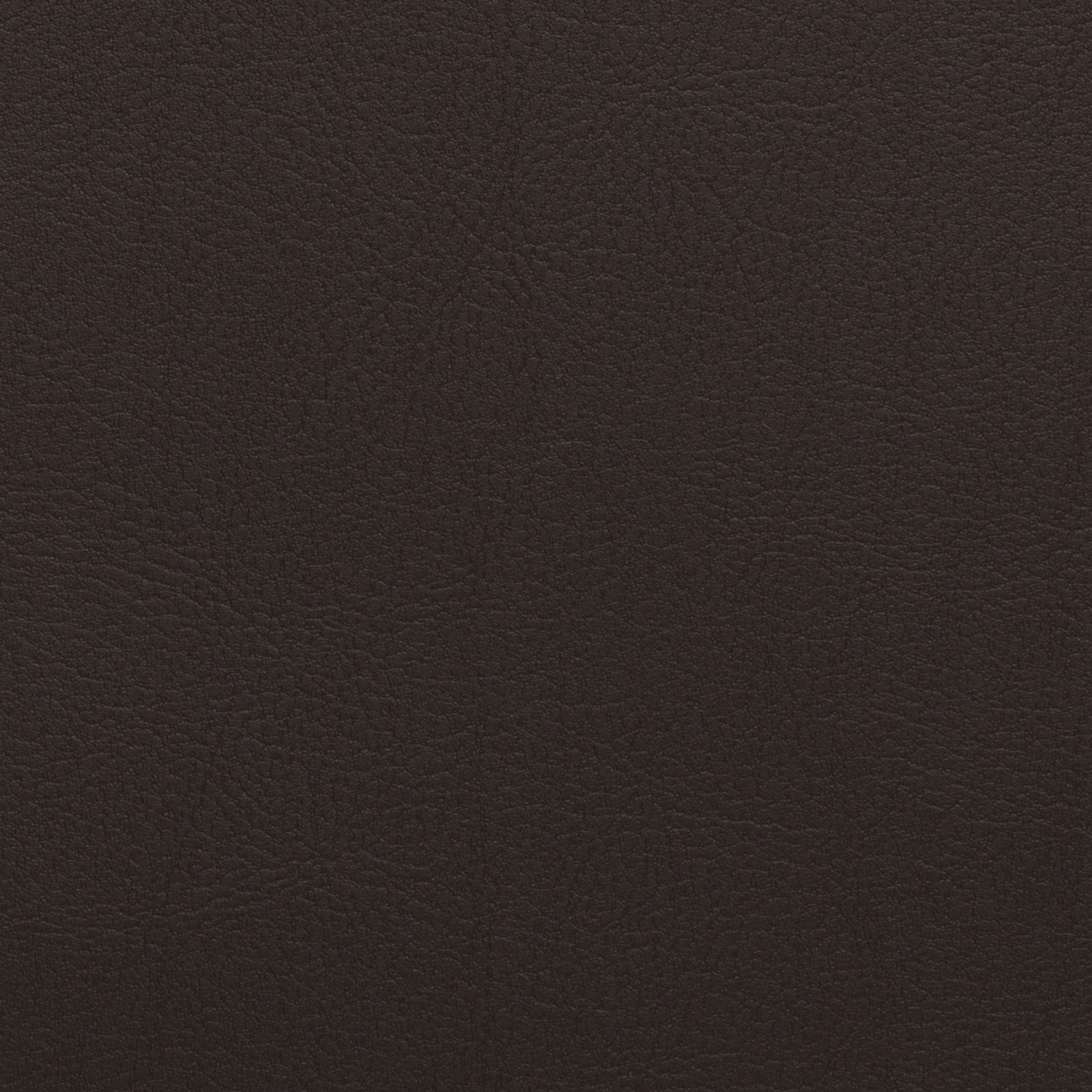 Ebony