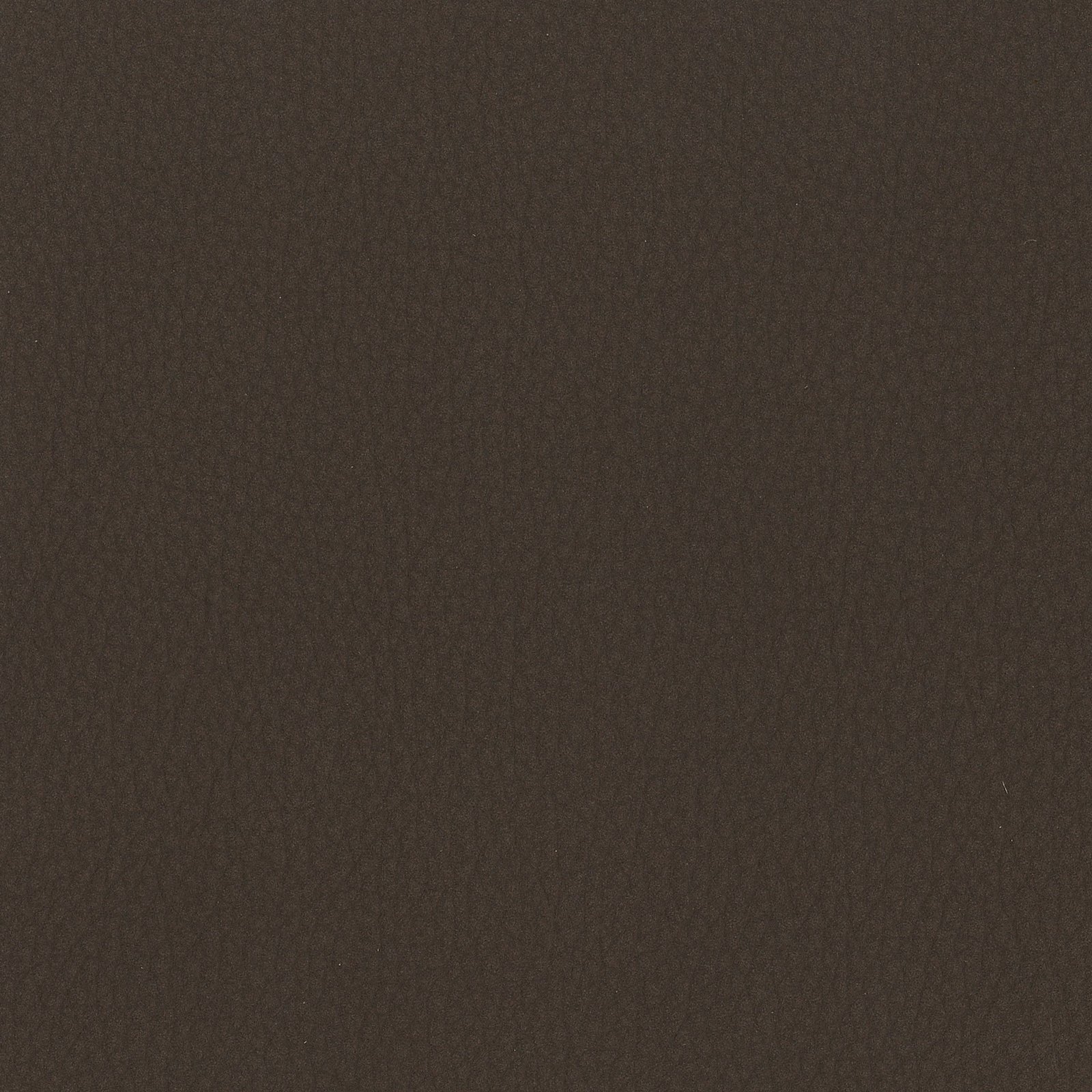Ebony