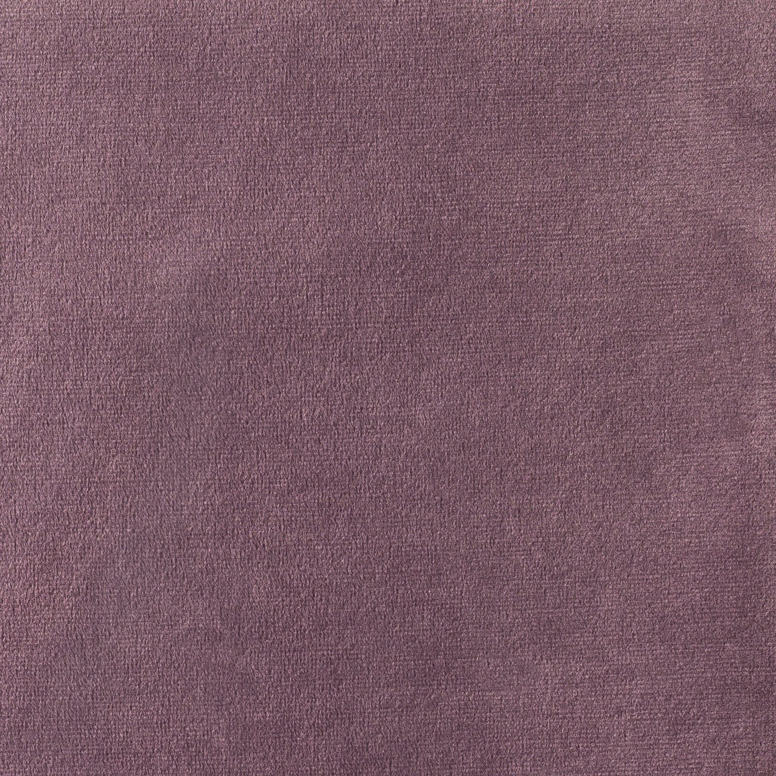 Lavanda