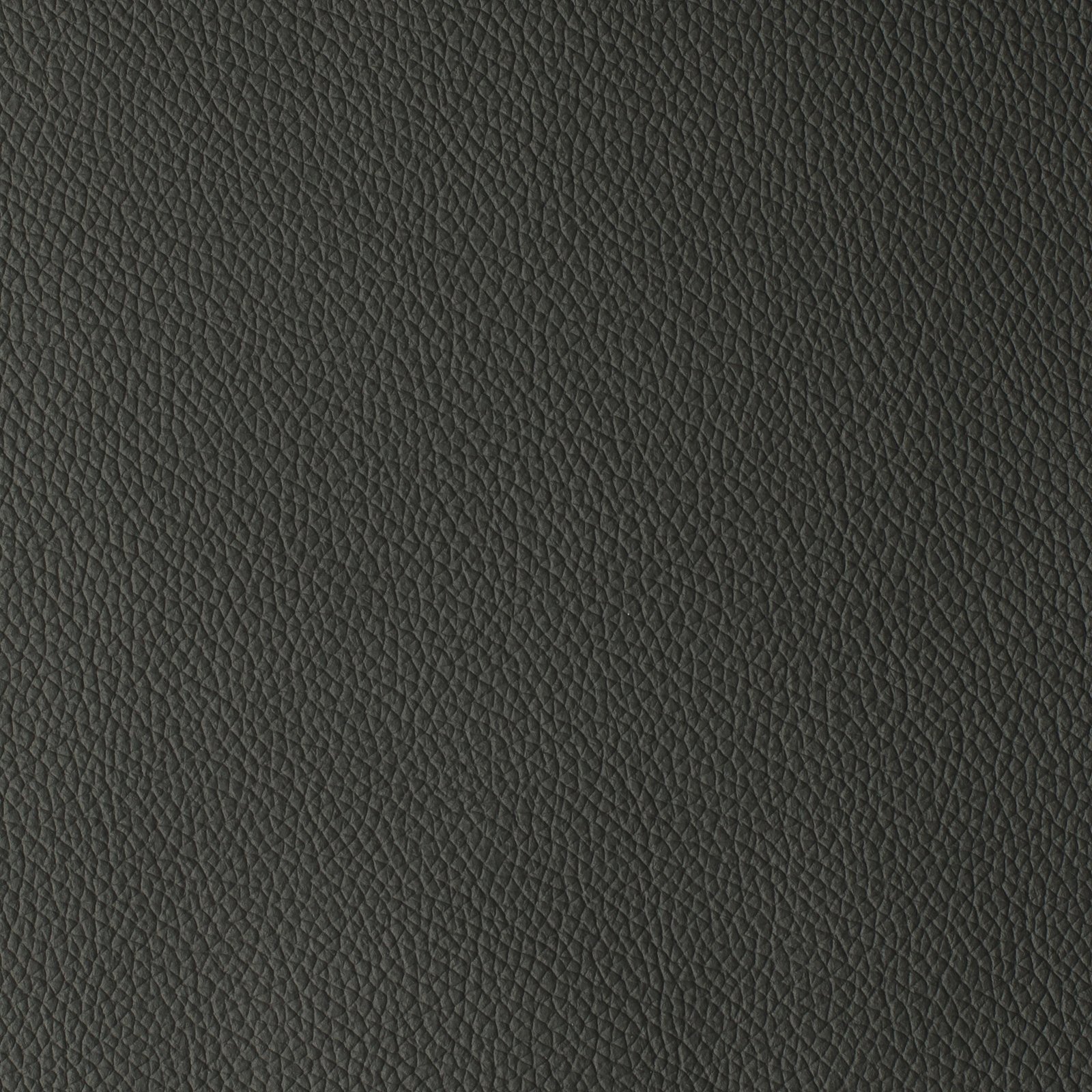 Dim Gray