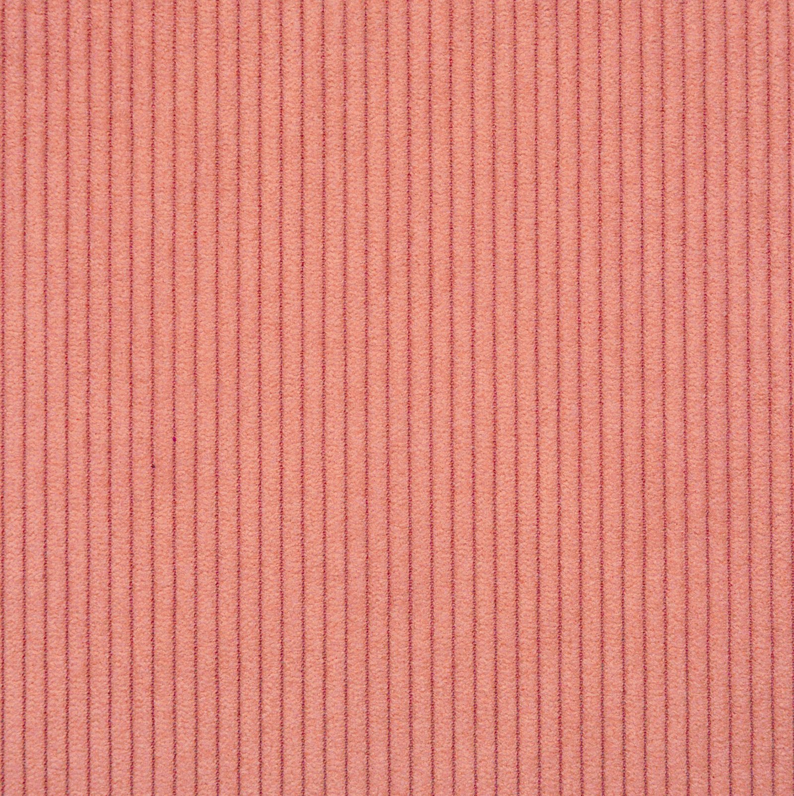 Scala Coral