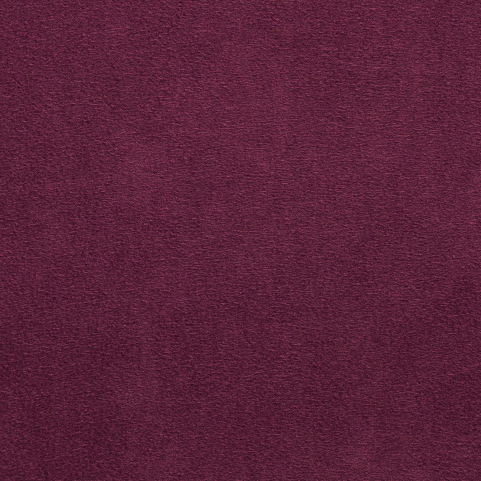 Munich Suede Purple