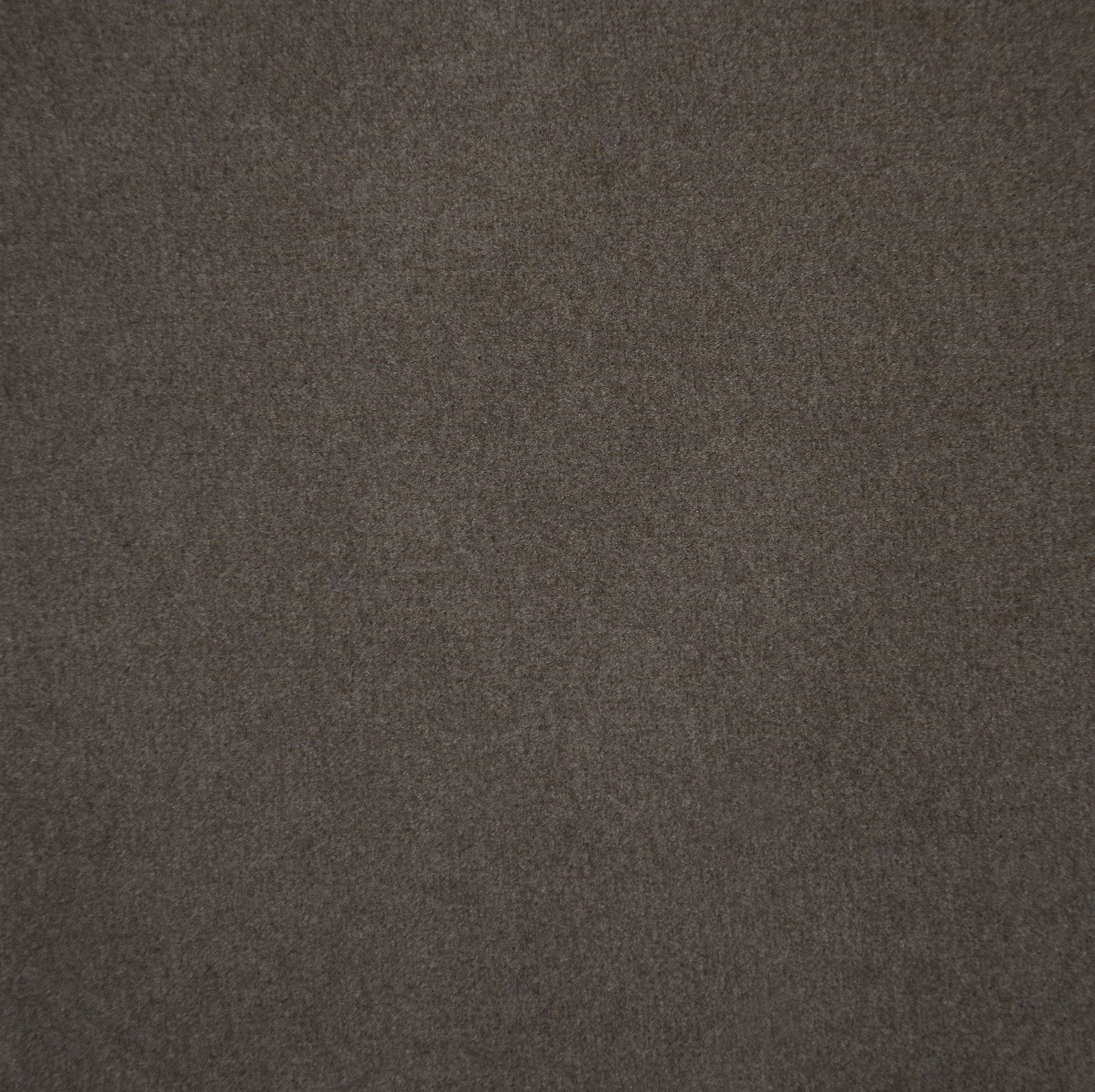 Casino Ebony