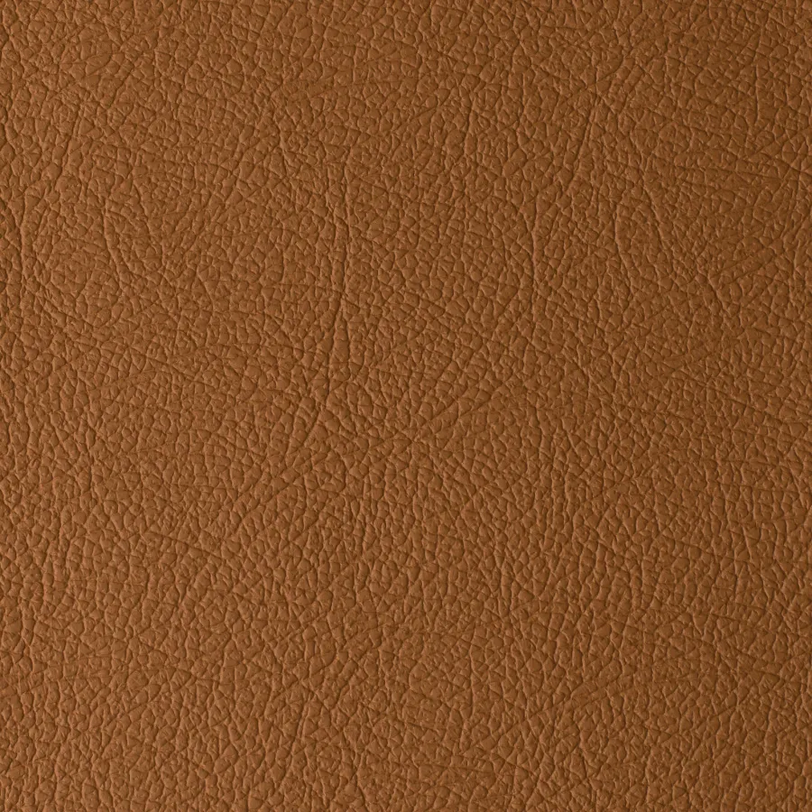 Coleção DAYTONA - Camel
